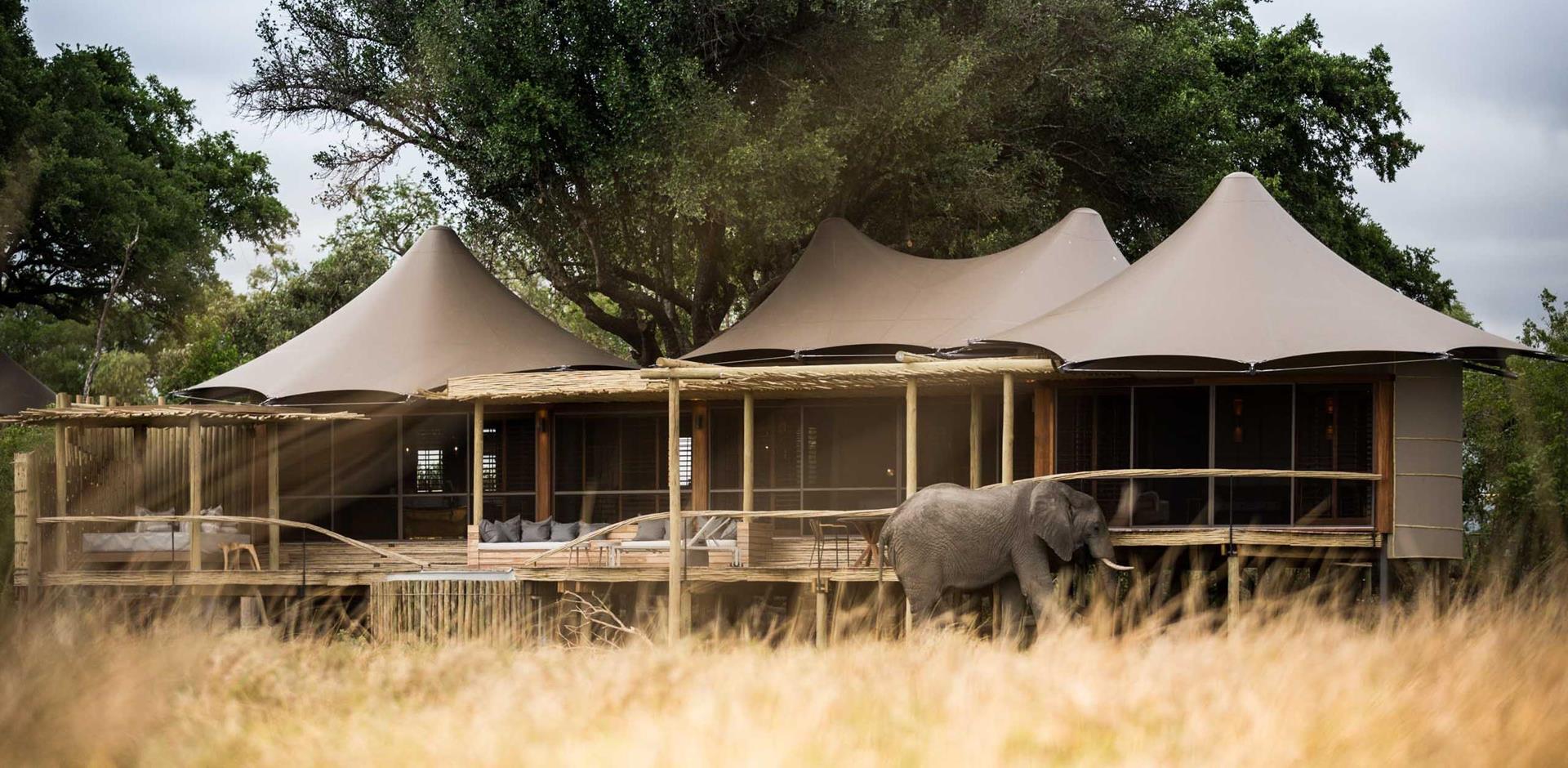 Camp exterior, Little Mombo, Moremi Game Reserve, Botswana