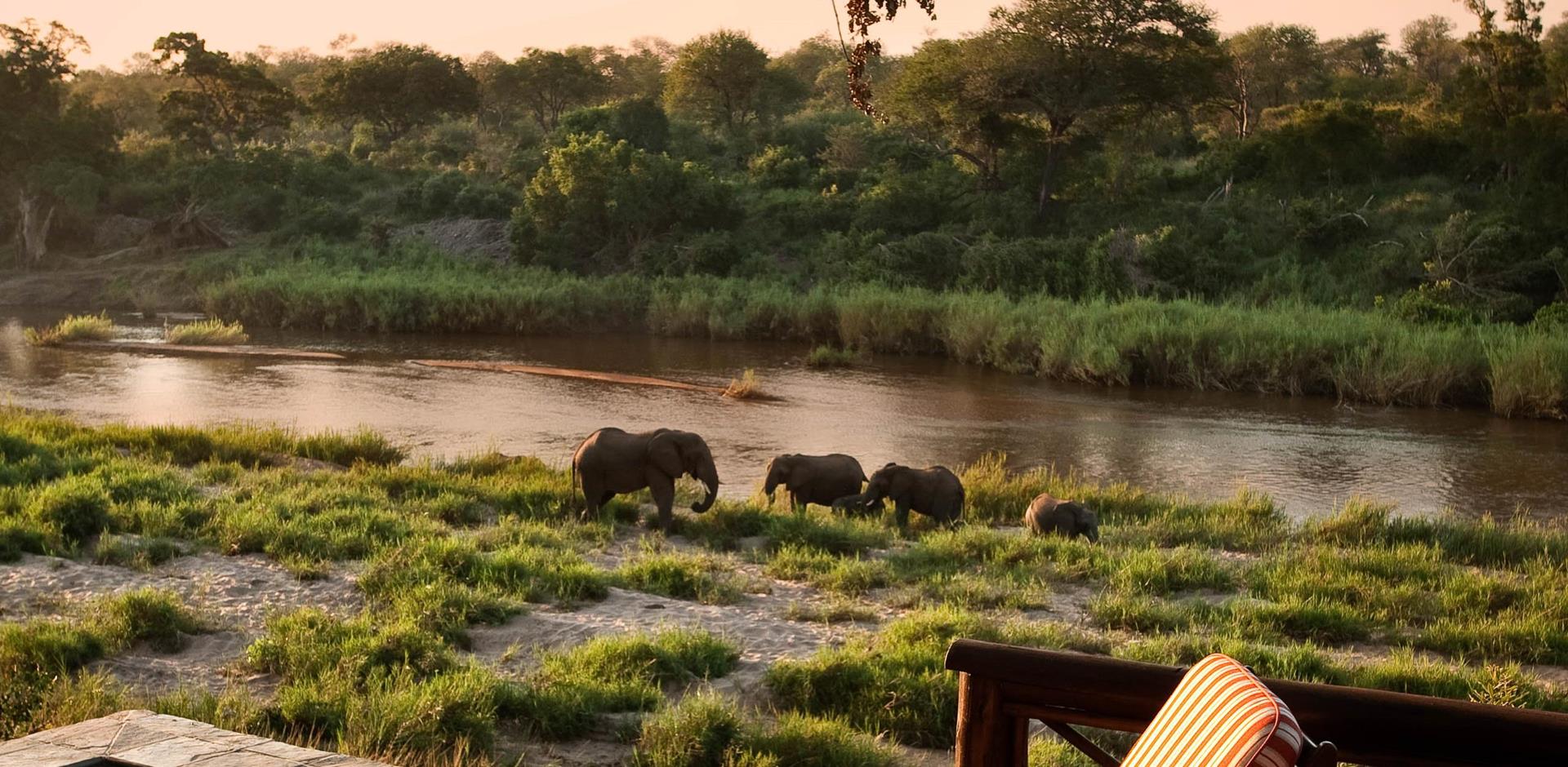 Elephant viewing, Lion Sands Narina Lodge, South Africa, A&K