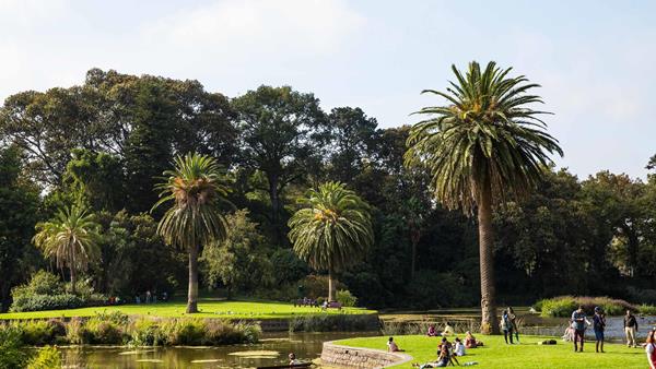 48 hours in Melbourne, A&K, Royal Botanic Gardens