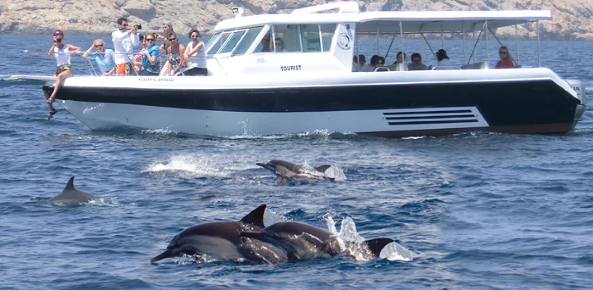 Dolphin cruise on Arabian Sea