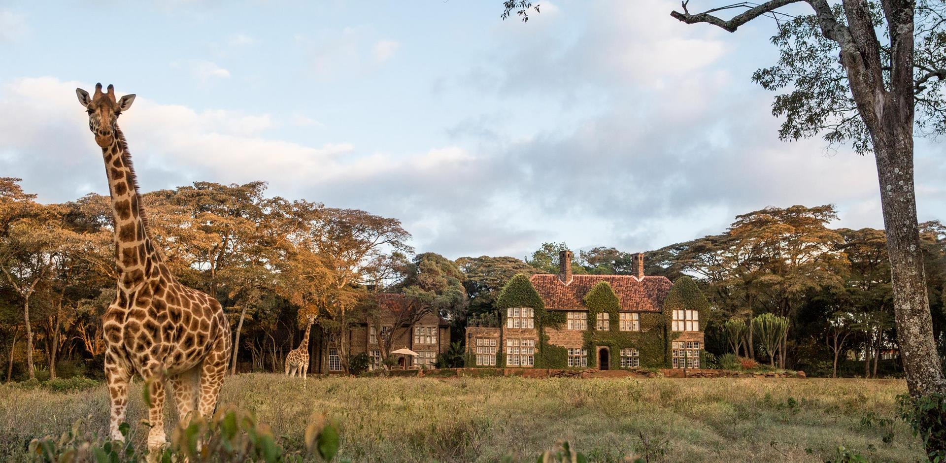 Stay at Giraffe Manor, Kenya with Abercrombie & Kent