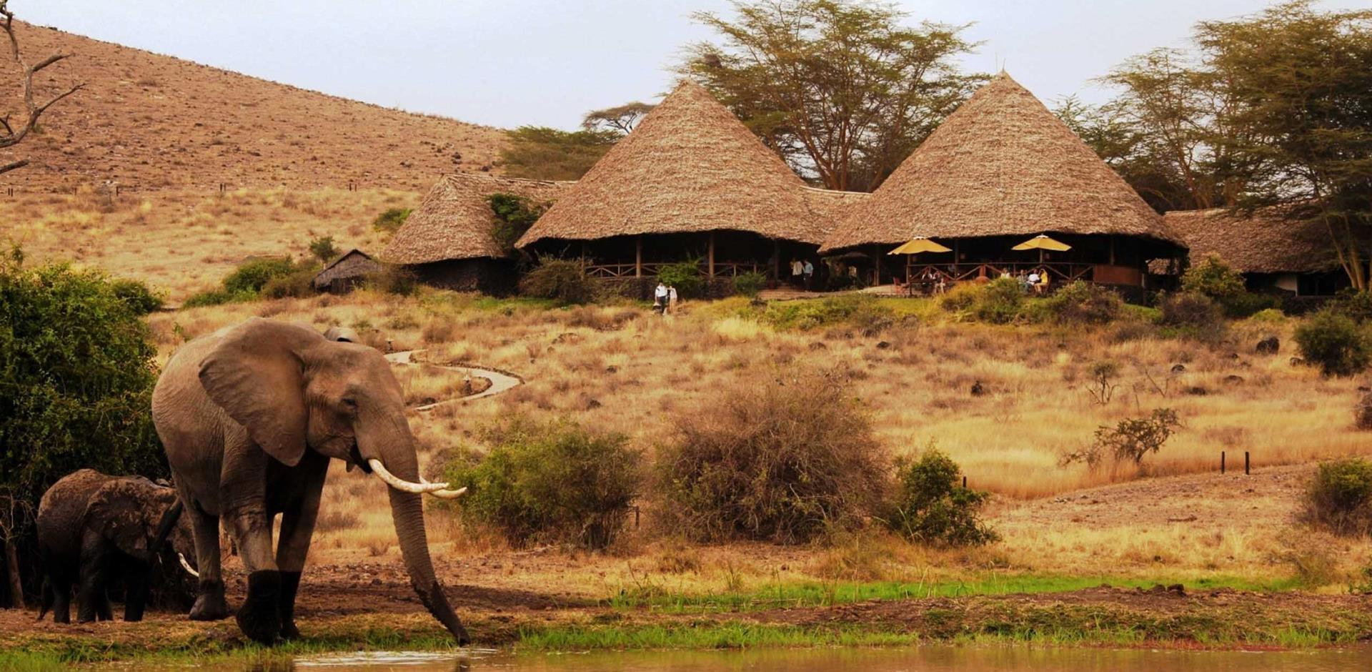 Camp main areas, Elewana Tortilis Camp, Amboseli, Kenya
