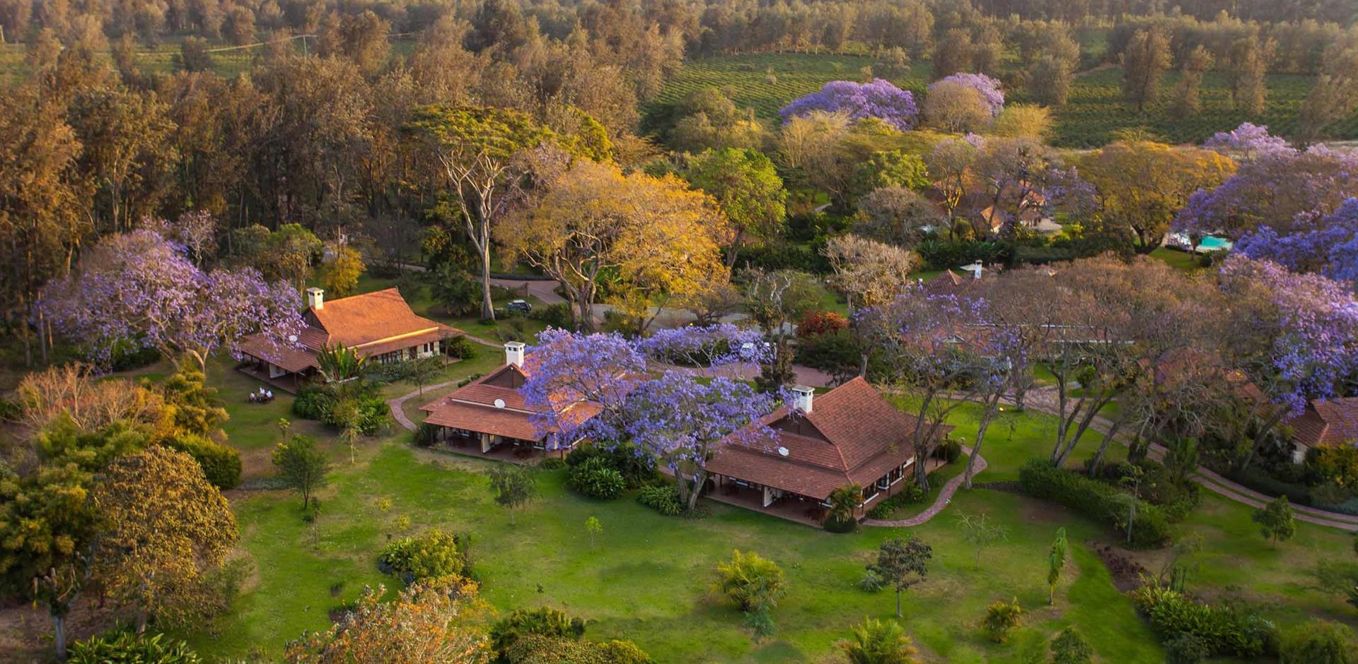 Aerial view, Legendary Lodge, Tanzania