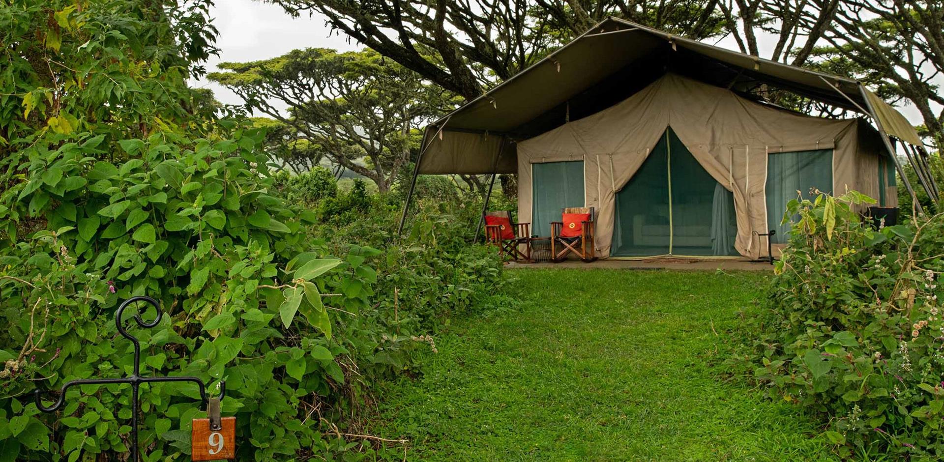 Lemala Ngorongoro, Tanzania, A&K