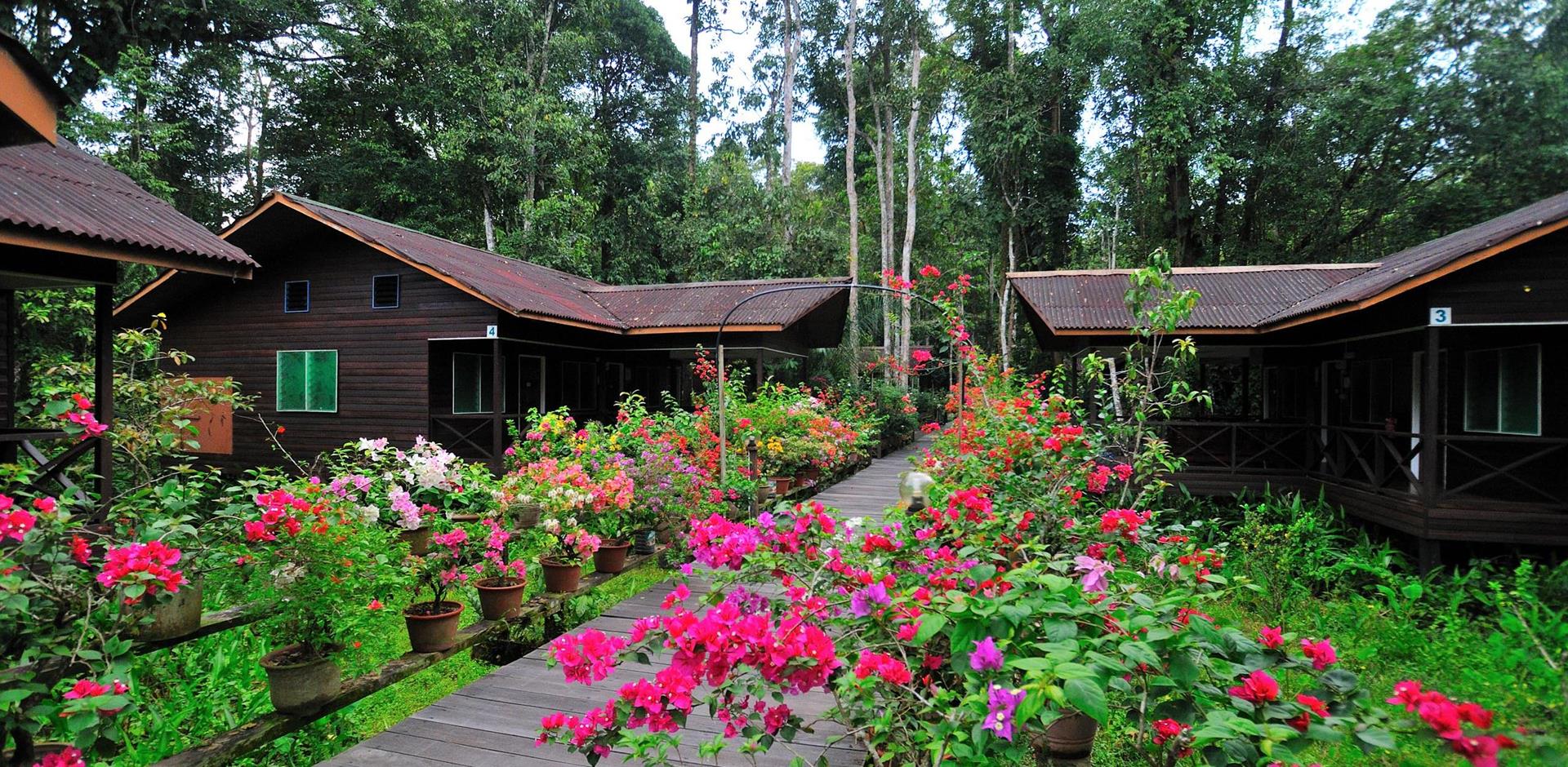 Exterior and garden, Abai Jungle Lodge, Malaysia
