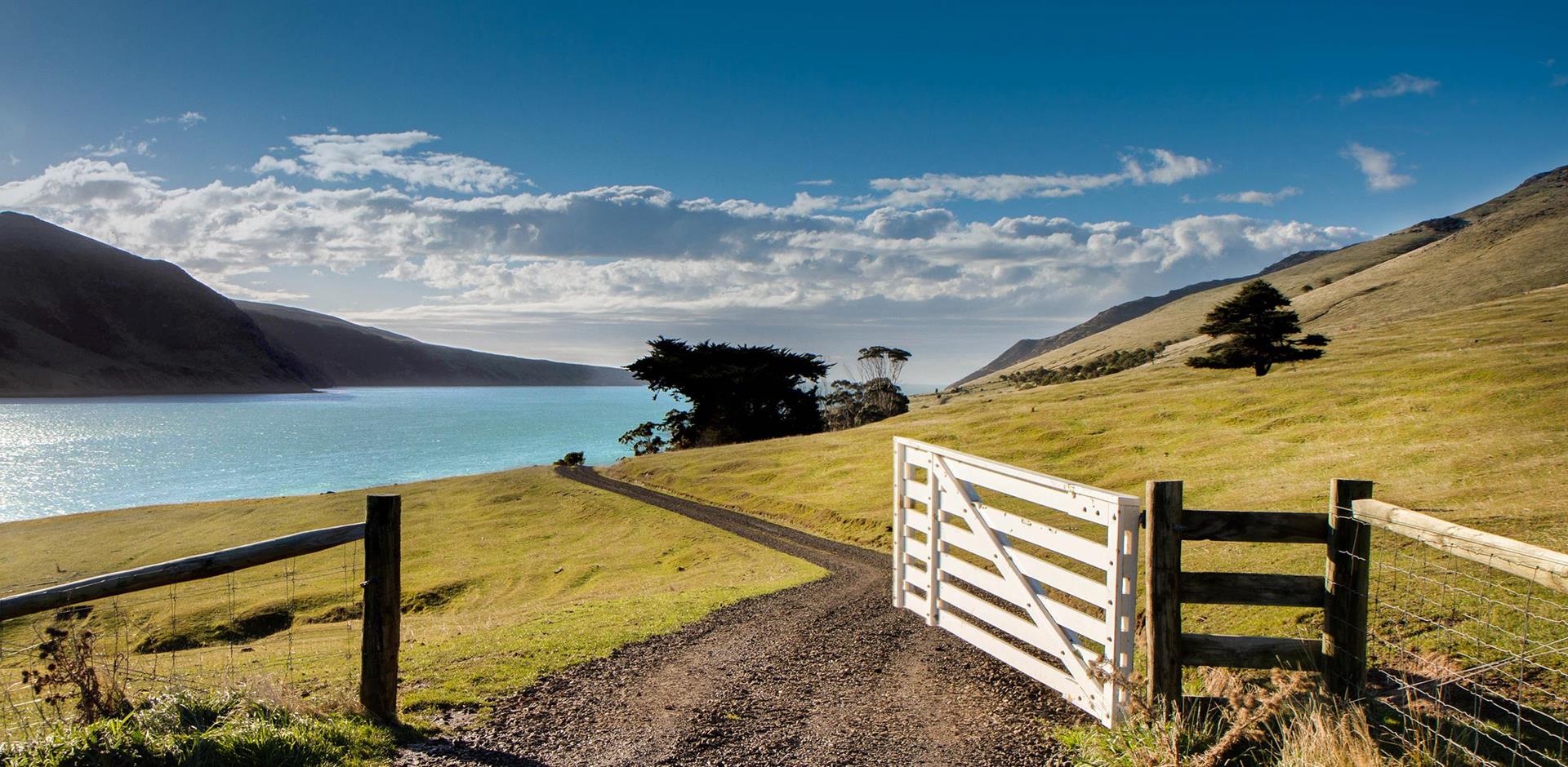 Annandale, New Zealand, A&K