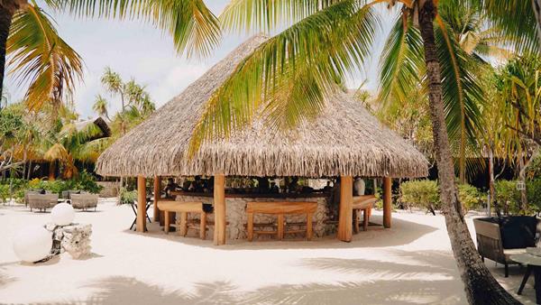 Bar, The Brando, Tetiaroa, Tahiti