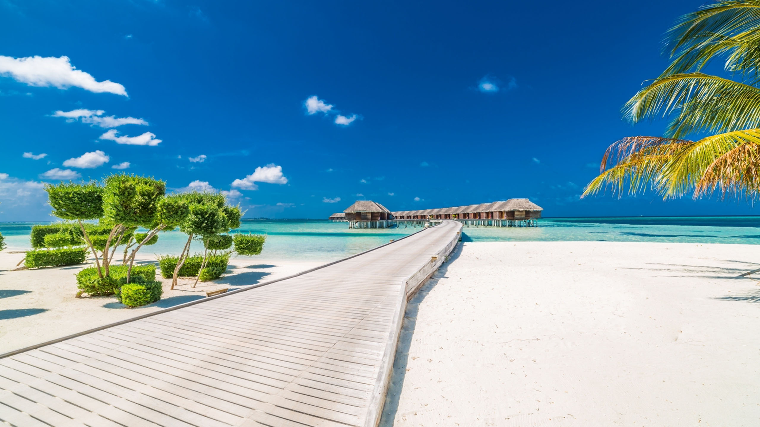 Perfect island. Lux South ari Atoll. Ари Атолл Мальдивы. Lux South ari Atoll 5. Атолл Велассару Мальдивы.