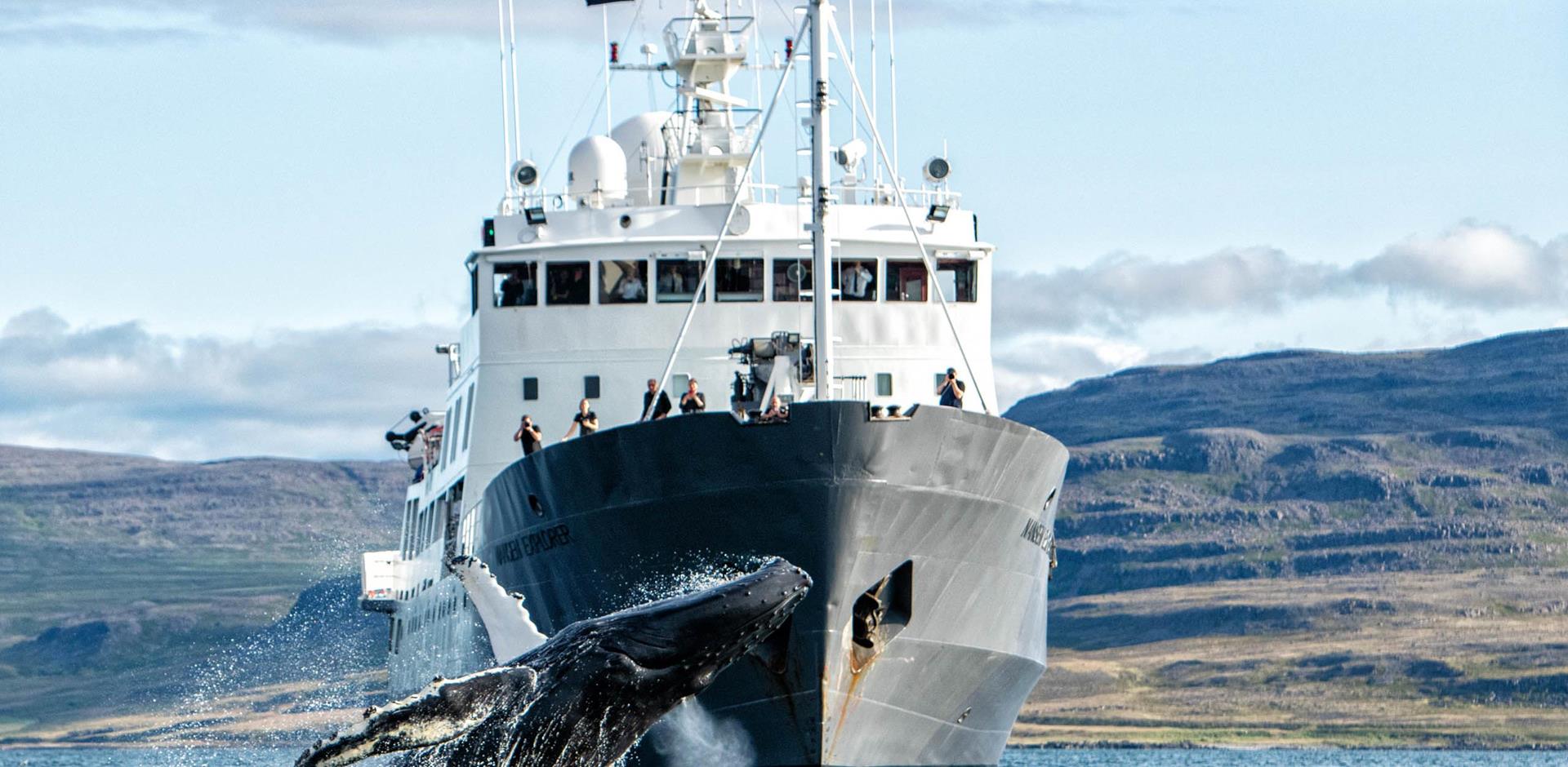 Nansen Explorer_On Location_Whale