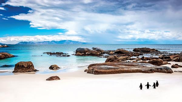 discover where’s cool in Cape Town beach