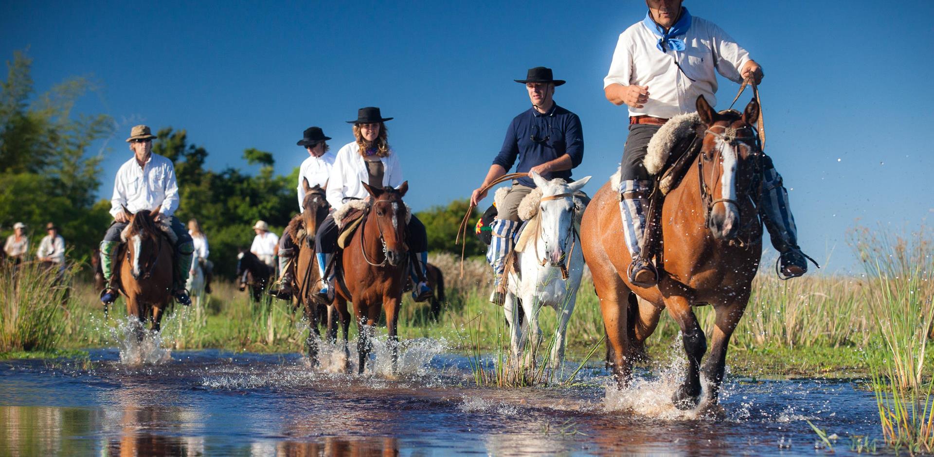 Horse-swimming in the Iberá Wetlands