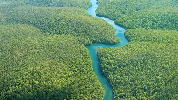 Latam Wilderness Amazon
