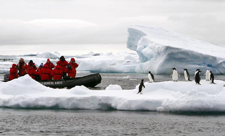 Researchers monitoring penguins, Antarctica