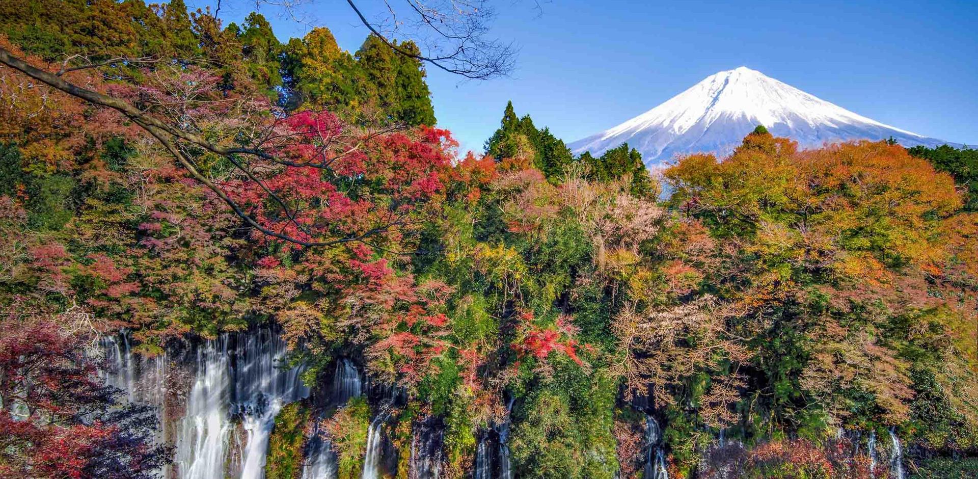 Mount Fuji and colourful Maple trees at Shiraito Falls, Shizuoka