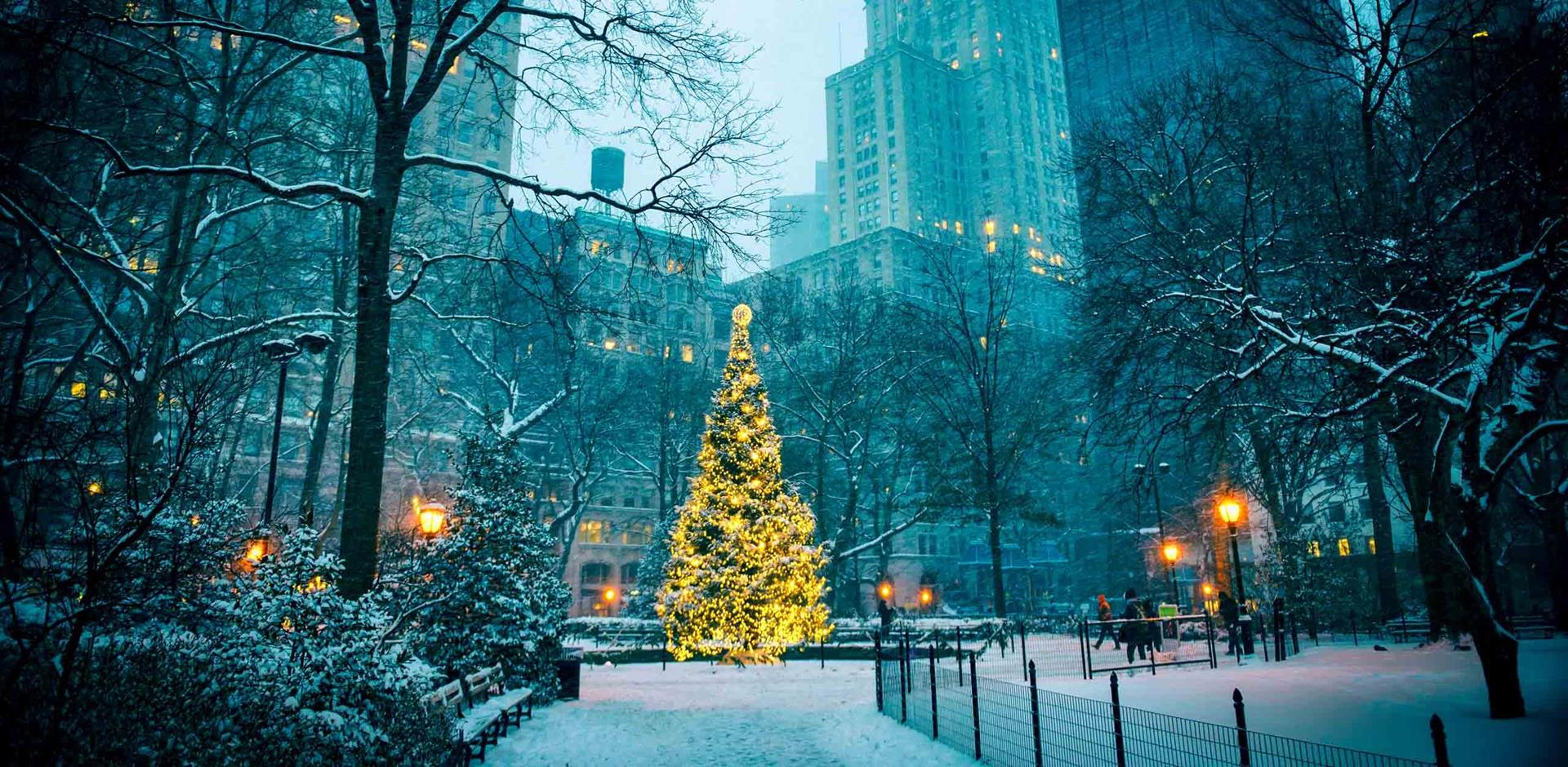Christmas, Madison Square Park, New York, USA