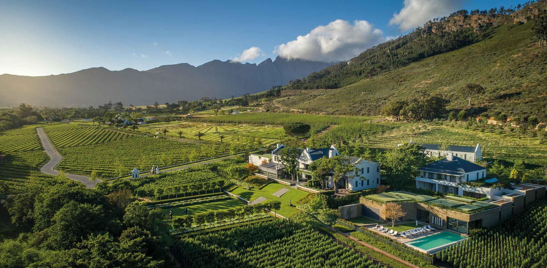 Gastronomy tour of the Western Cape