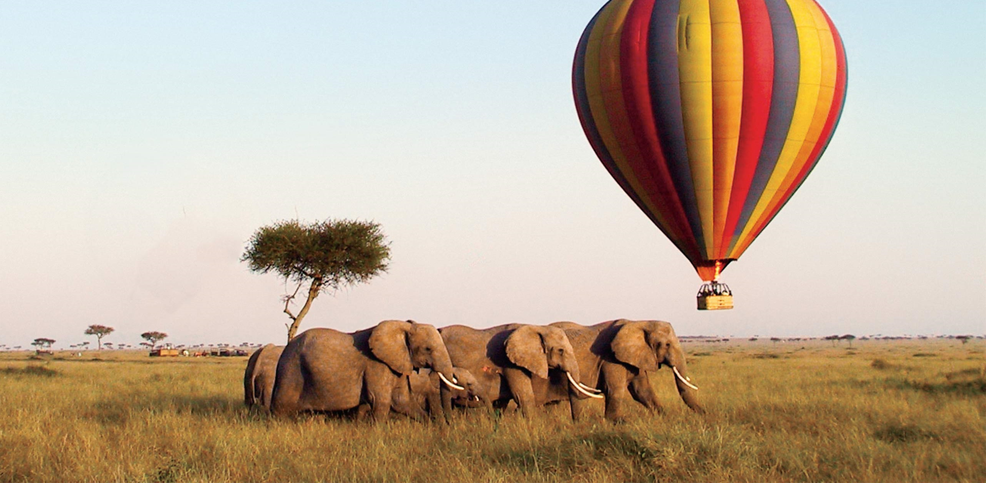 Balloon ride over elephants