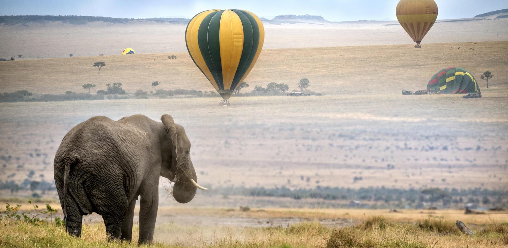 Hot-air balloon safari