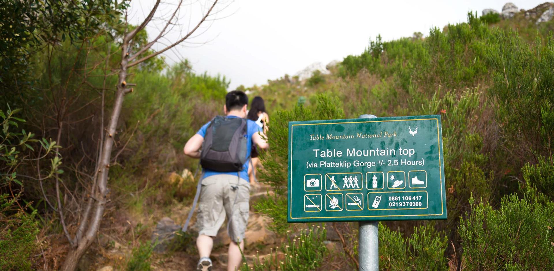 Trek up Table Mountain