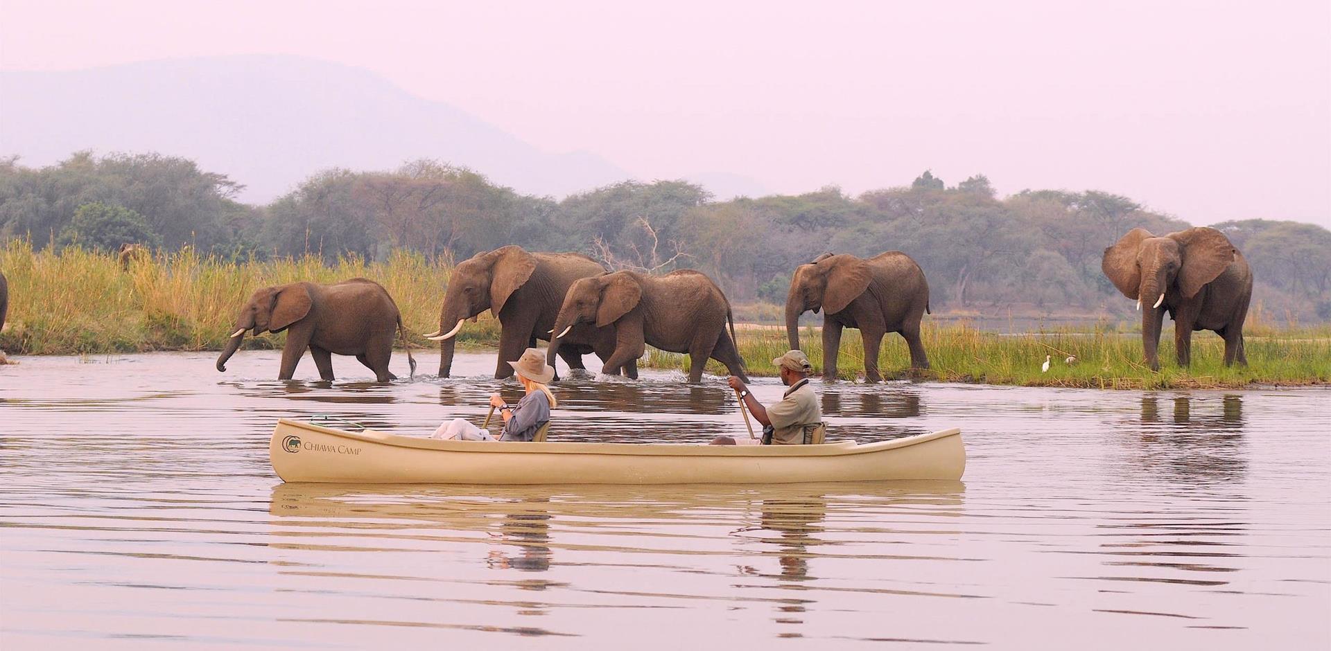 Lower Zambezi river safari