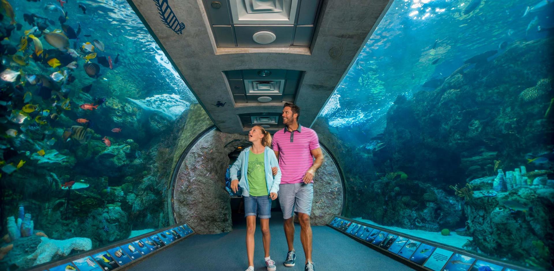 Private aquarium tour