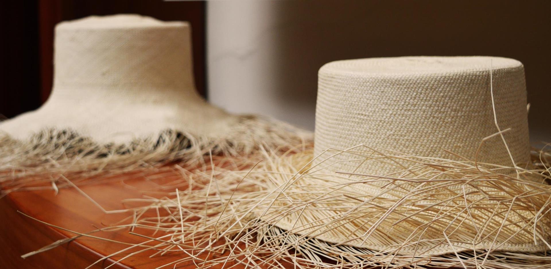 Make your own Panama hat