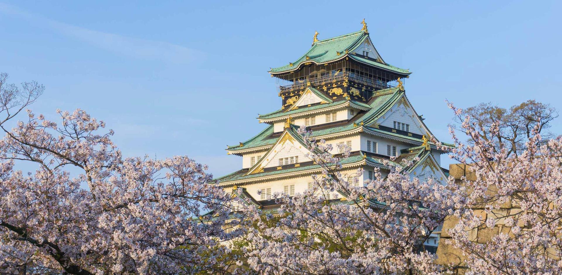 Japan, Cherry Blossom Season