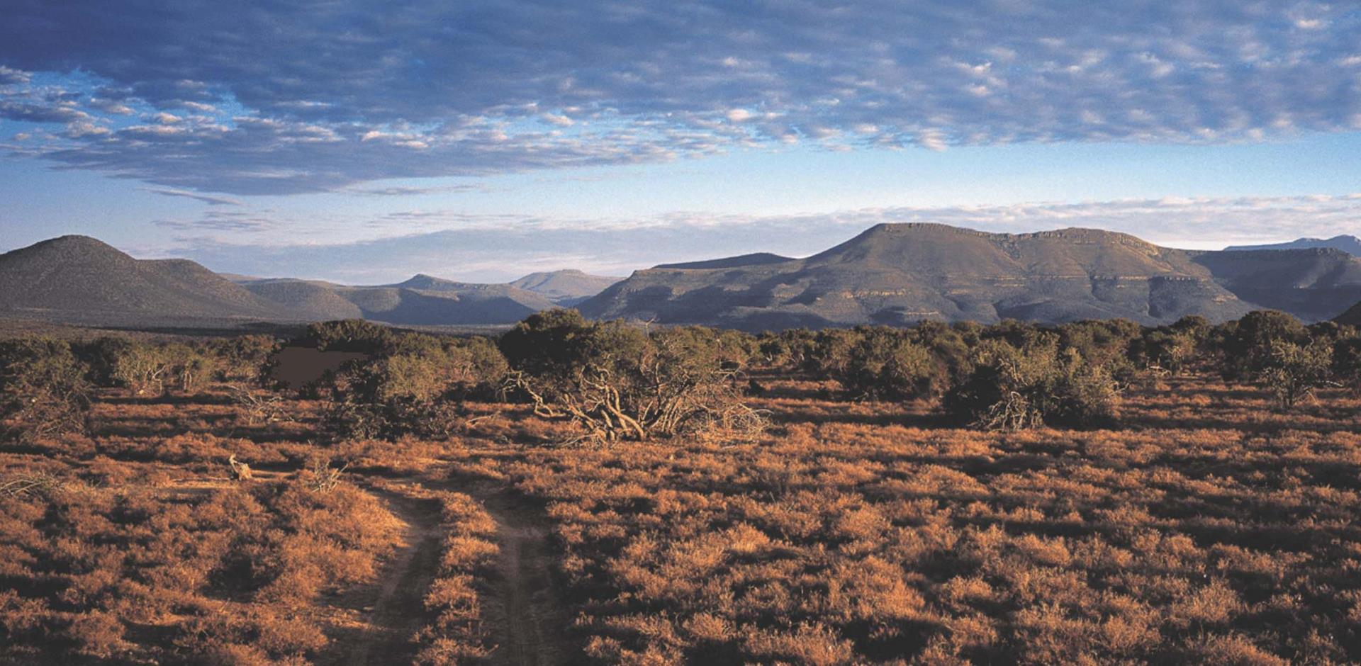A&K itinerary: The Great Karoo, South Africa