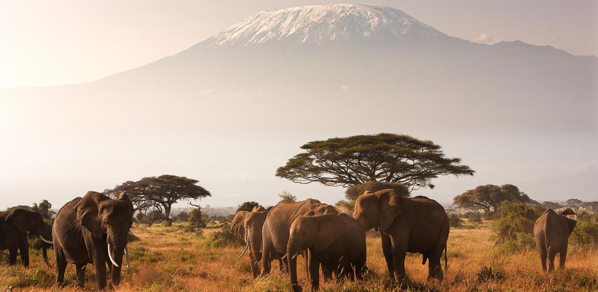 Mount Kilimanjaro, Tanzania, Africa