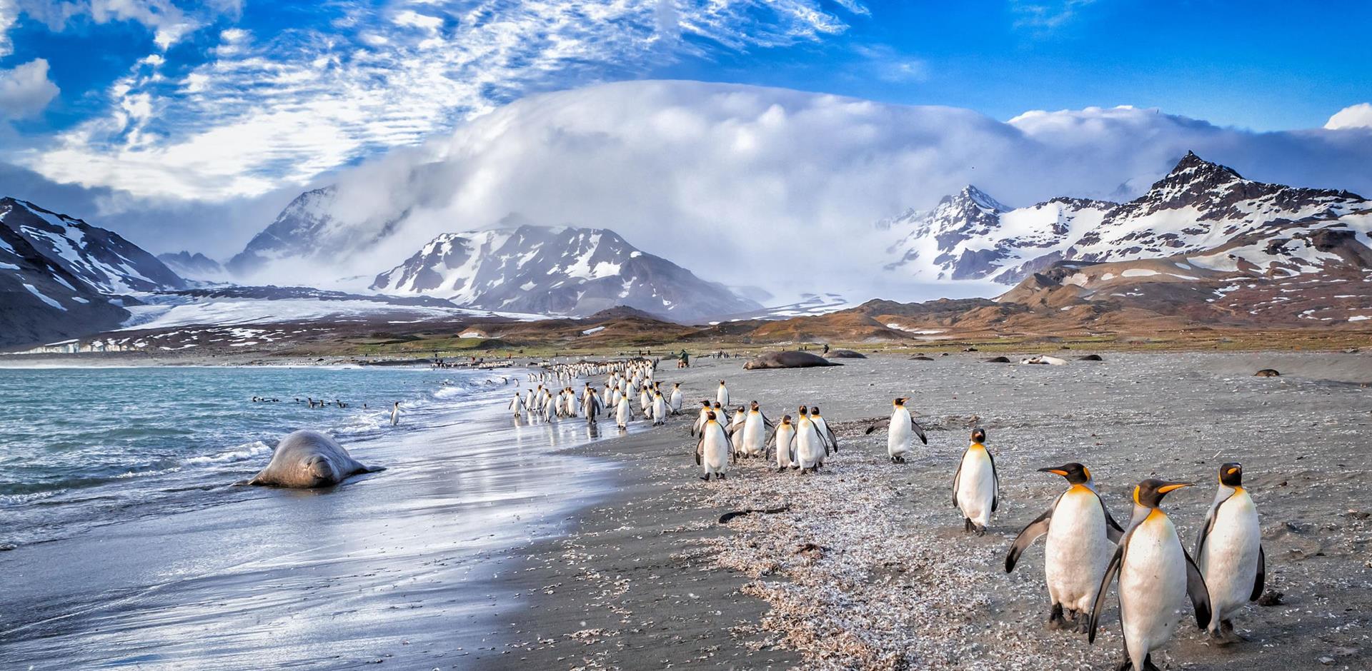 Antarctica, South Georgia and the Falkland Islands