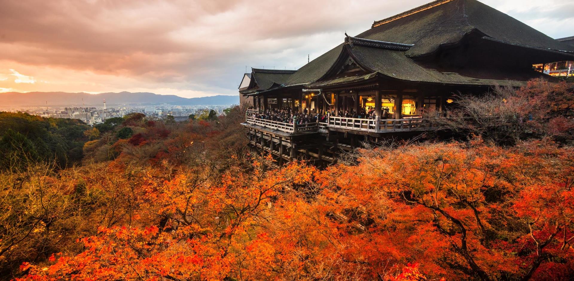 Autumn colours, Japan