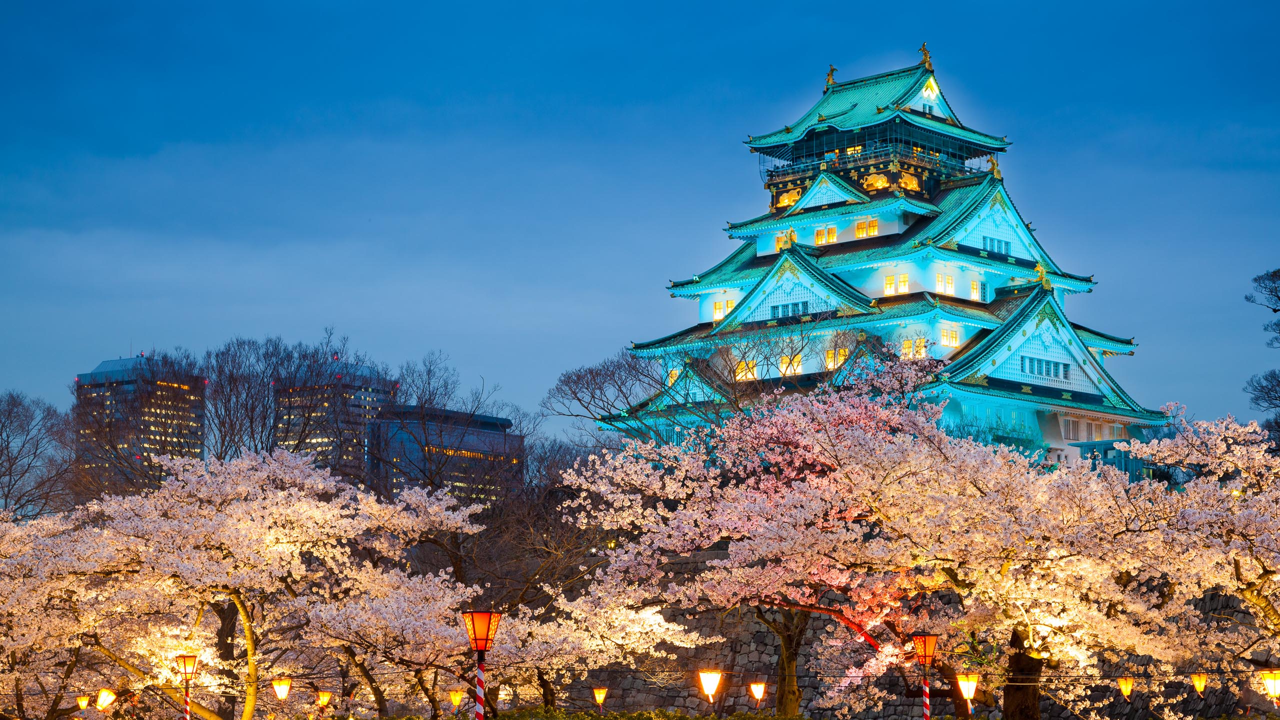 escorted tours to japan from uk