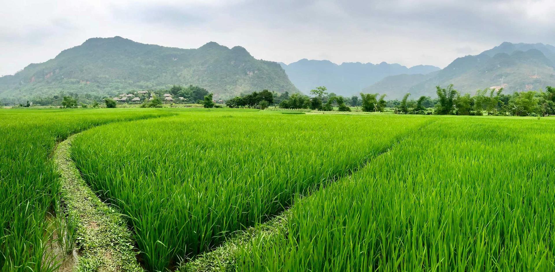 A&K itinerary: The hidden world of Mai Chau, Vietnam