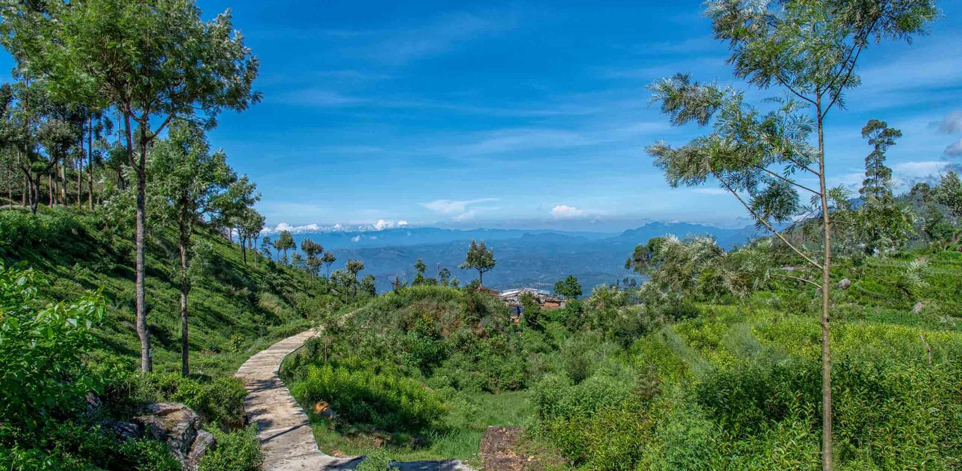 A&K itinerary: Hill Country Adventure, Sri Lanka