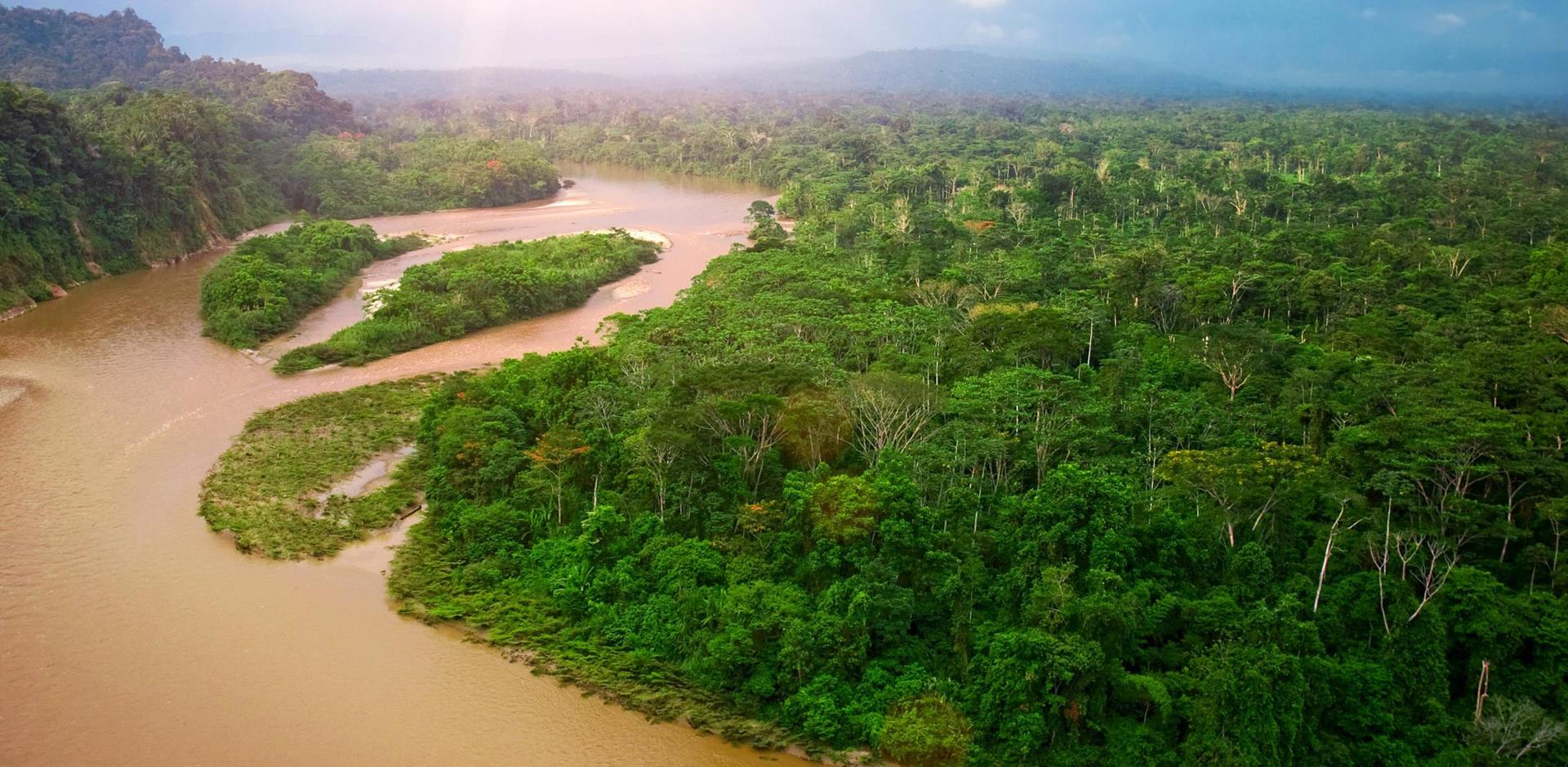 Rio Napo Rainforest