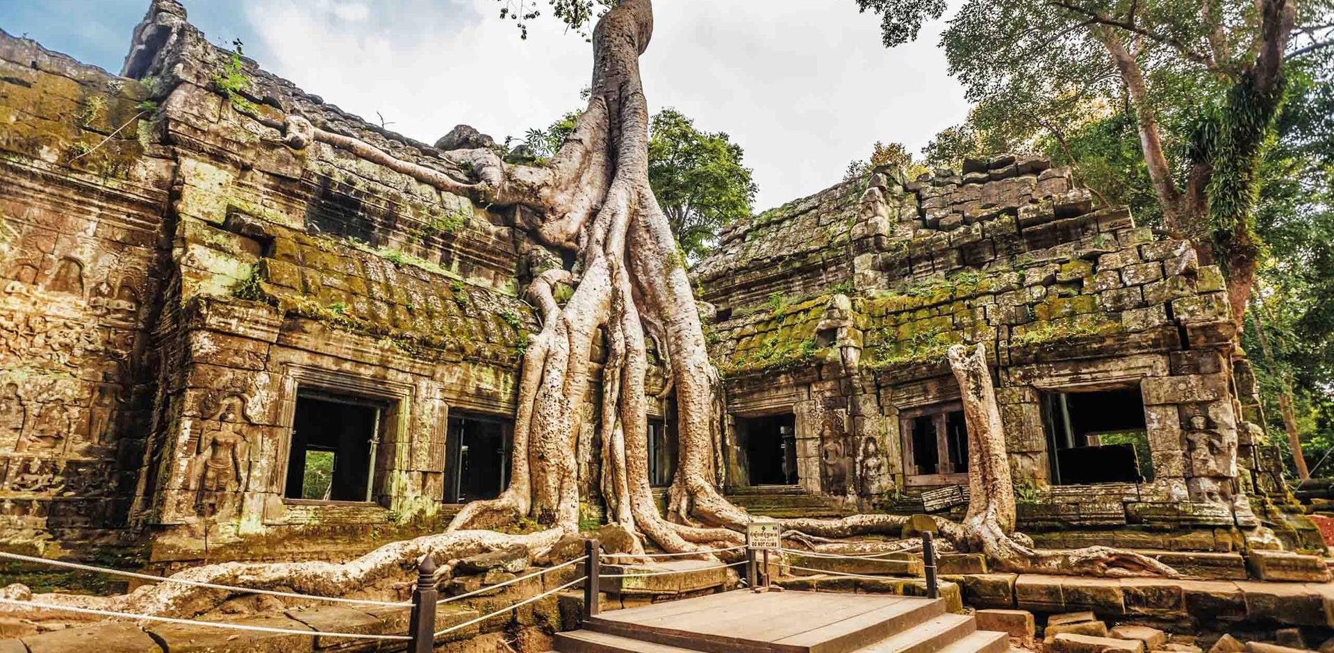 Cambodia-Angkor-Ta Prohm Temple