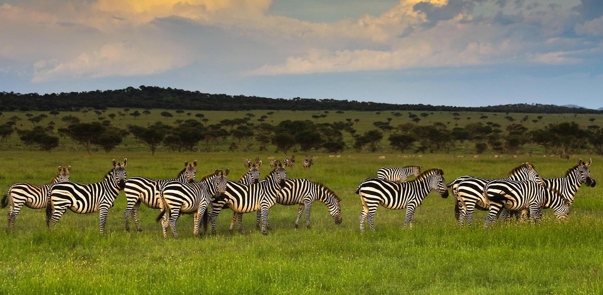 Grumeti Reserve, Tanzania