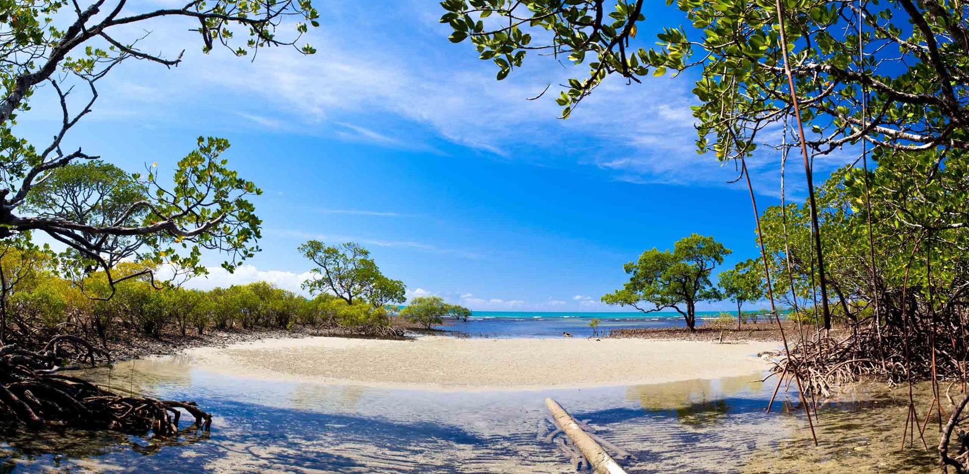 See some of Australia's highlights on a luxury holiday to Port Douglas with A&K