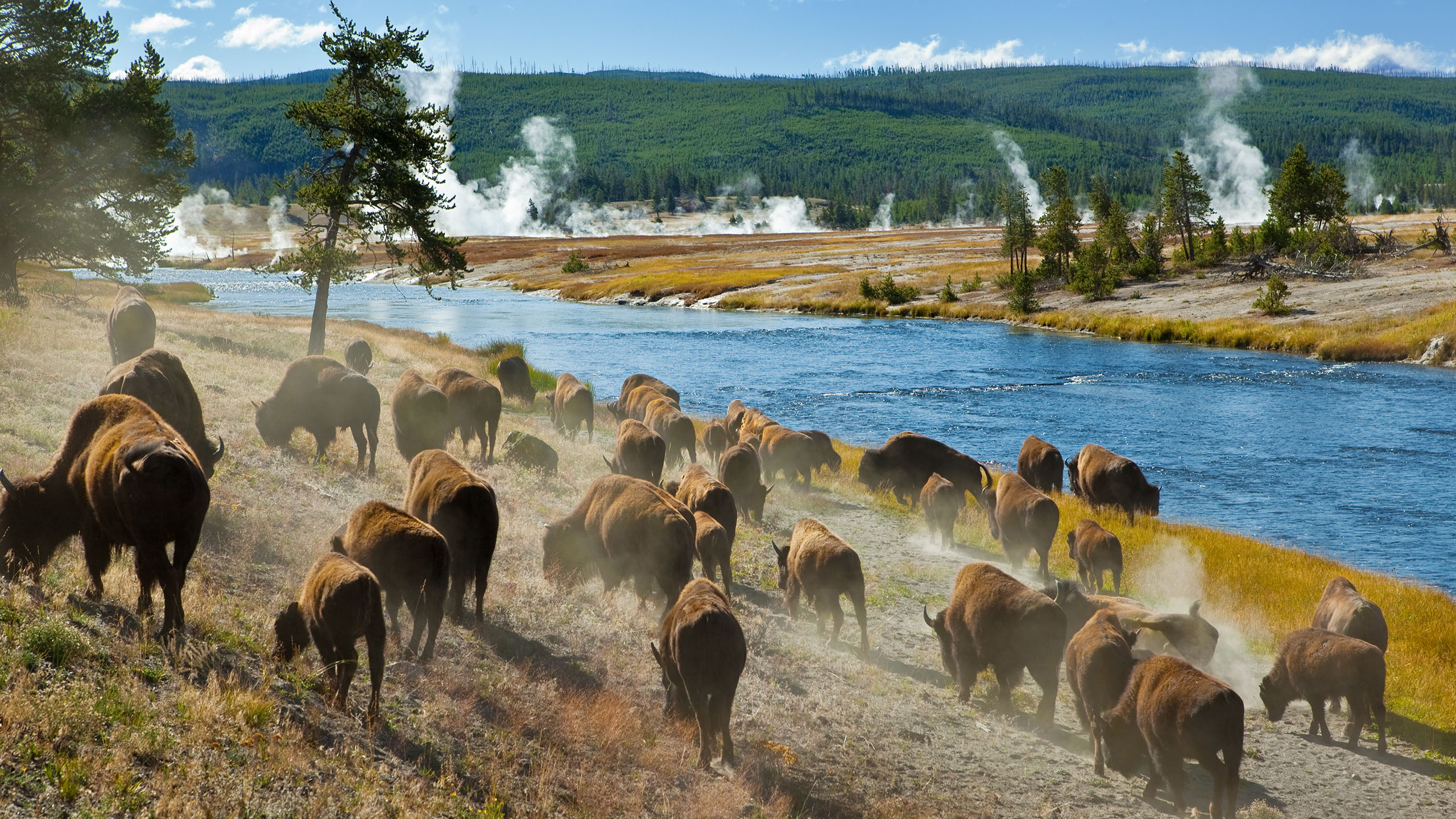 Luxury Yellowstone National Park Holidays & Tours 2024/2025